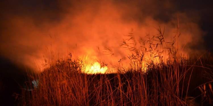 Πυρκαγιά στο ύψος του Ribas στη Βάρκιζα
