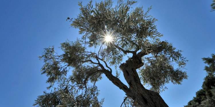 Καιρός: Ζέστη και σήμερα – Βροχές σε Κρήτη και Δωδεκάνησα