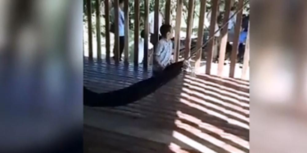 Πα-τέρας κλείδωνε το παιδί του σε κλουβί για να πηγαίνει δουλειά [βίντεο]