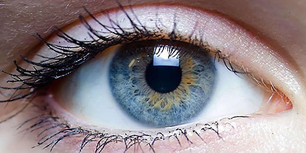 Ανακαλύφθηκε το αρχαιότερο μάτι στον κόσμο ηλικίας 530 εκατομμυρίων ετών