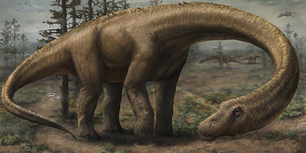 Aπολίθωμα δεινόσαυρου με μήκος… λεωφορείου ανακάλυψαν στην Αίγυπτο