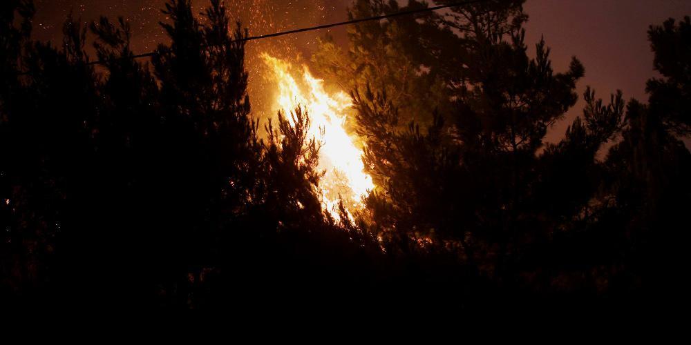Ολονύχτια μάχη με τις φλόγες σε Πάρο, Ζάκυνθο και Εύβοια