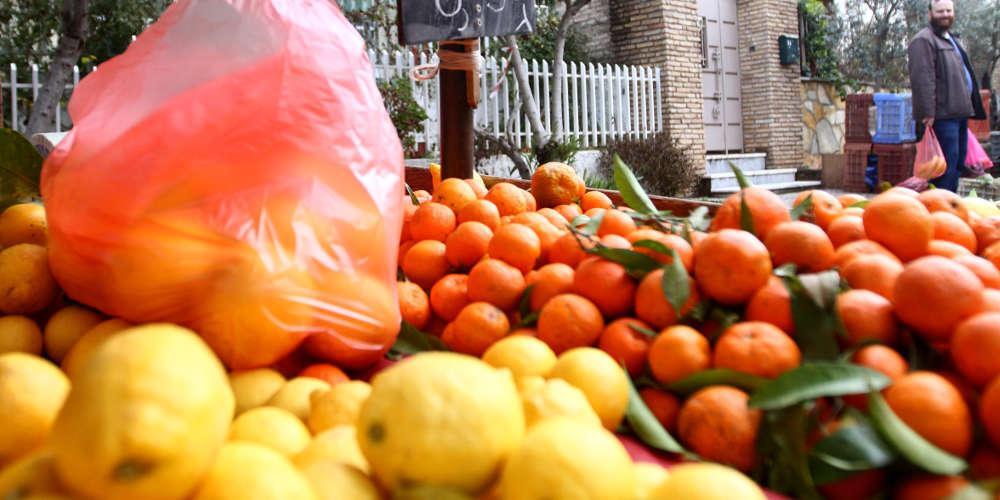 Συναγερμός: Τρόφιμα-δηλητήριο από την Τουρκία κατασχέθηκαν στον Έβρο