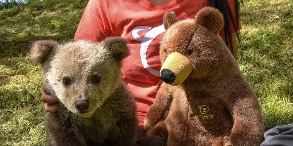 Αυτός είναι ο Λουίτζι: Το αρκουδάκι του Αρκτούρου που παίζει μπάλα