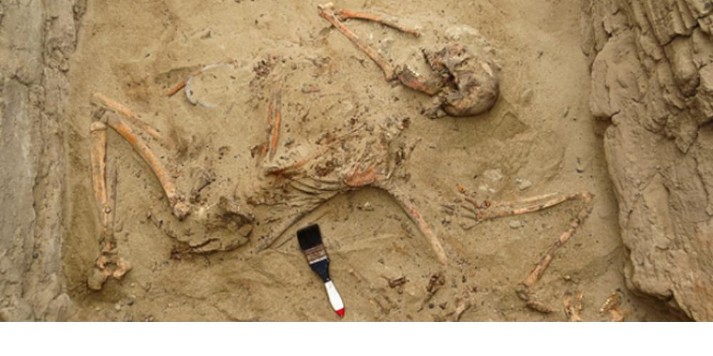 Ανακαλύφθηκε αρχαίος ομαδικός παιδικός τάφος στο Περού - Πάνω από 140 σκελετοί