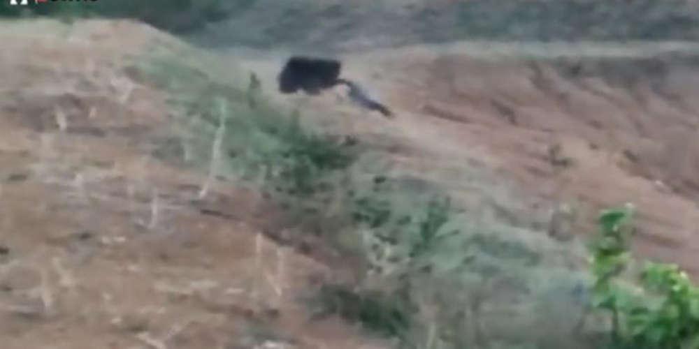 Βίντεο-σοκ: Πήγε να βγάλει selfie με αρκούδα και σκοτώθηκε