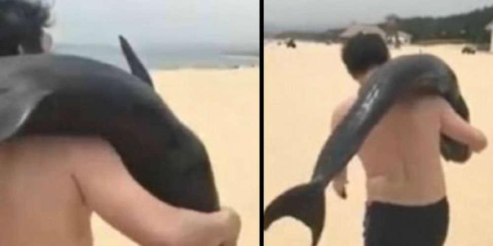 Αδιανόητο: Πήρε ετοιμοθάνατο δελφίνι στον ώμο και έφυγε από την παραλία [βίντεο]