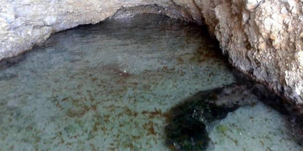 Εφιάλτης στον Κορινθιακό: Εντοπίστηκε αποικία με τσούχτρες σε σπηλιά [εικόνες]