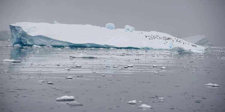 Βρέθηκε απολίθωμα αβγού 66 εκατ. ετών στην Ανταρκτική! [εικόνα]