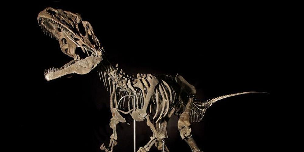 Δεινόσαυροι και… business: Σκελετός πουλήθηκε για 2,3 εκατ. δολαρίων στο Παρίσι