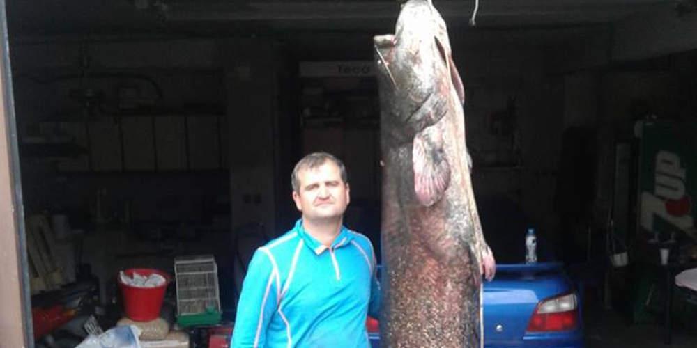 Εντυπωσιακό: Γουλιανό 84 κιλών έβγαλε ψαράς στη λίμνη Πολυφύτου! [εικόνες]