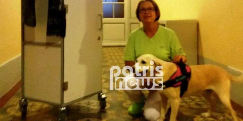 Αδέσποτο από τον Πύργο έγινε σκύλος θεραπείας στην Ελβετία