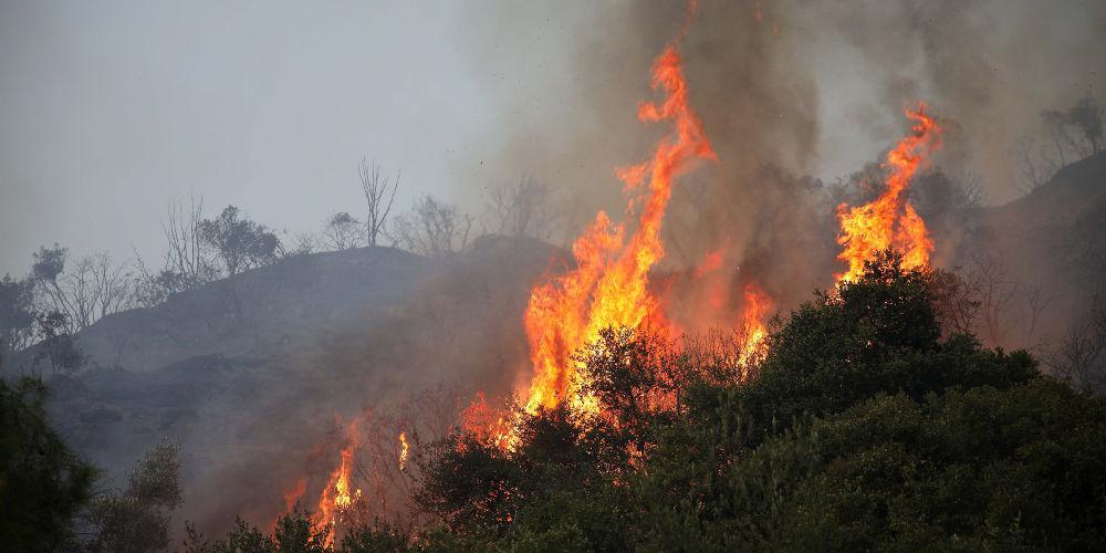 Σε εξέλιξη πυρκαγιά στην Εύβοια – Στην περιοχή Ροβιές
