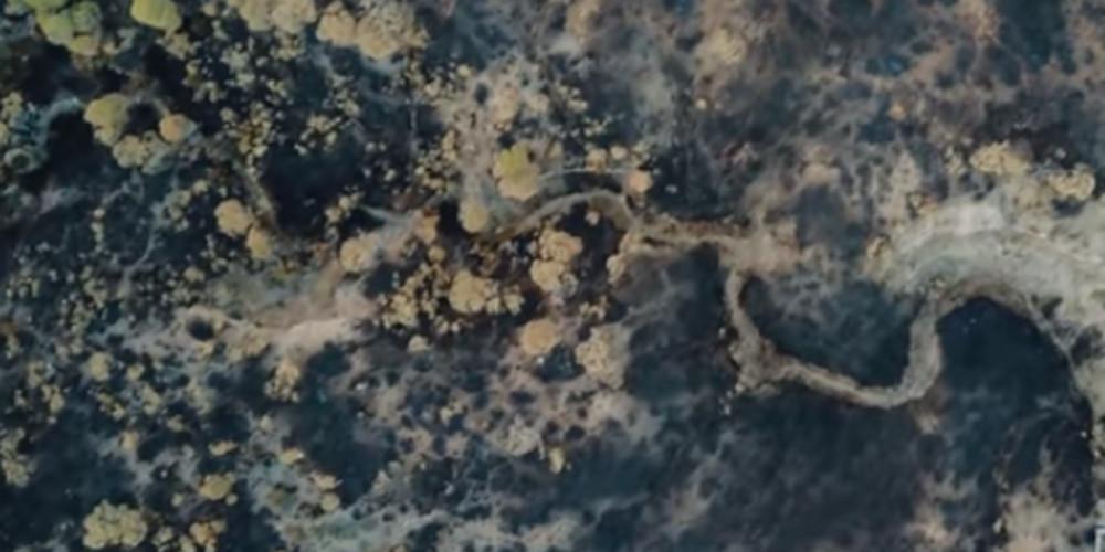 Θλίψη: Drone καταγράφει την τεράστια καταστροφή στα Γεράνεια Όρη από την πυρκαγιά