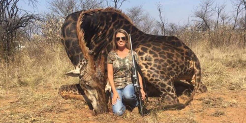 Οργή για Αμερικανίδα κυνηγό που σκότωσε σπάνια καμηλοπάρδαλη