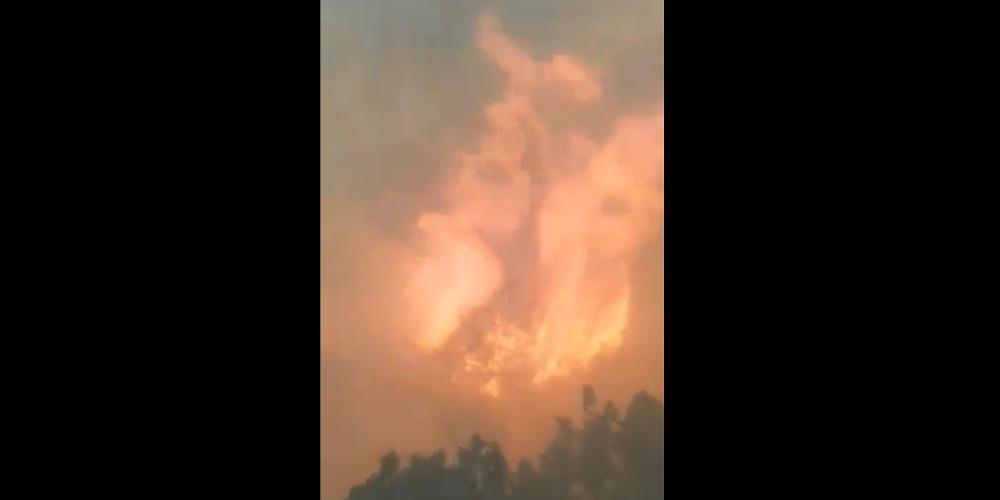 «Ωχ Θεέ μου η γυναίκα και τα παιδιά μου» - Νέο βίντεο-σοκ από την πυρκαγιά στο Μάτι