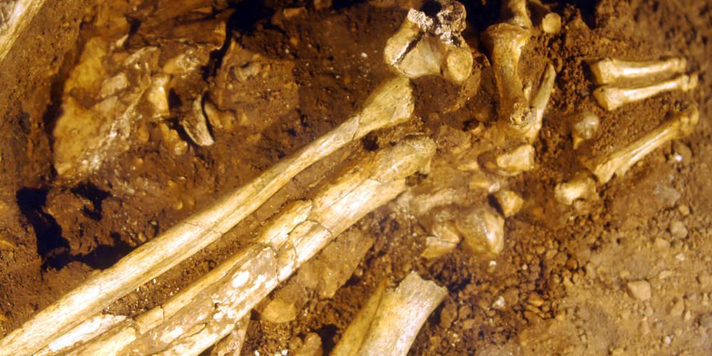 «Φως» στο μυστήριο: Τα ευρήματα του ιατροδικαστή για τον σκελετό που βρέθηκε στην Κέρκυρα