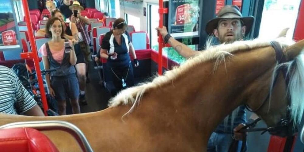 Απίστευτο: Πήρε το τρένο παρέα με το... άλογό του στην Αυστρία