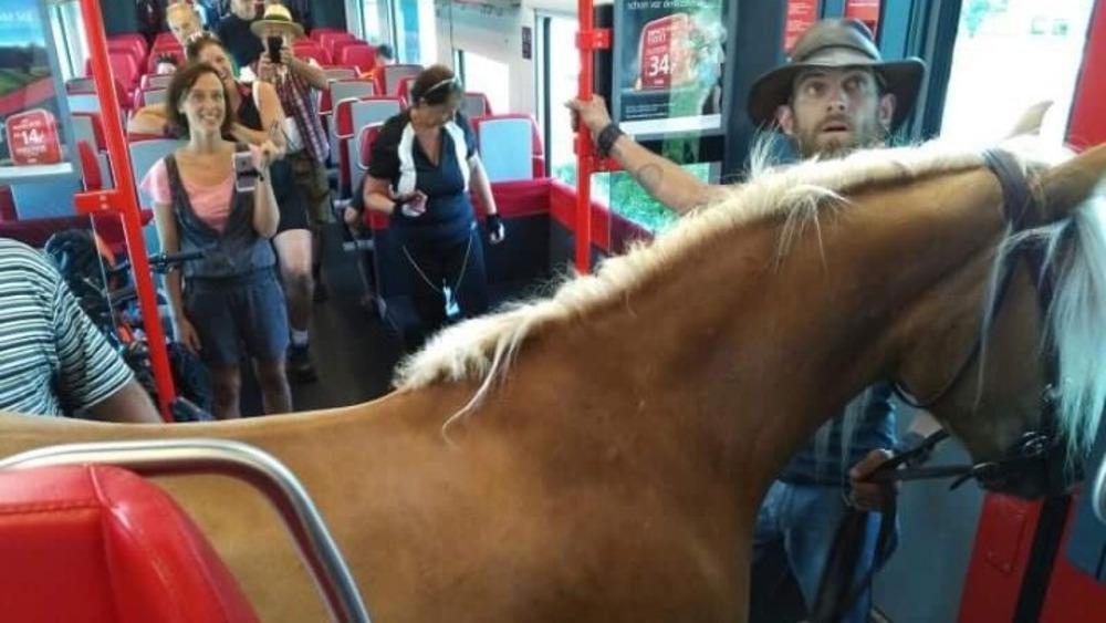 Απίστευτο: Πήρε το τρένο παρέα με το... άλογό του στην Αυστρία