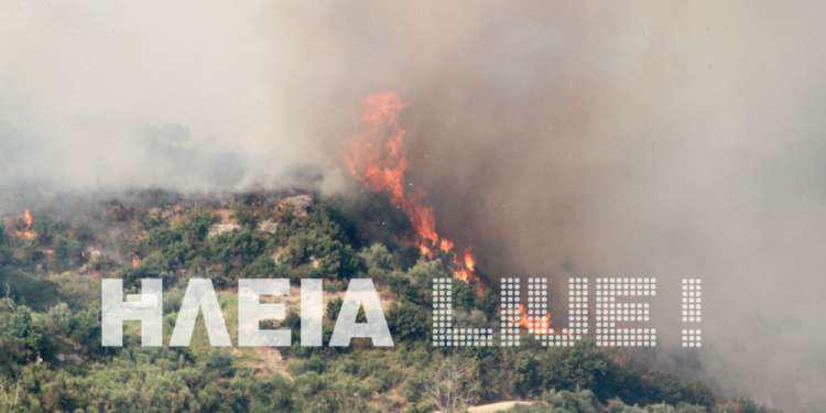 Μεγάλη πυρκαγιά στην Ηλεία - Αεροσκάφη στην επιχείρηση κατάσβεσης