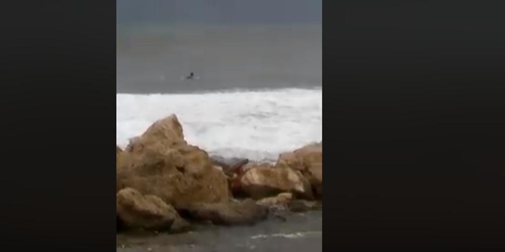 Σέρφερ αψηφά τον κυκλώνα και δαμάζει τα κύματα στη Μεσσηνία! [βίντεο]