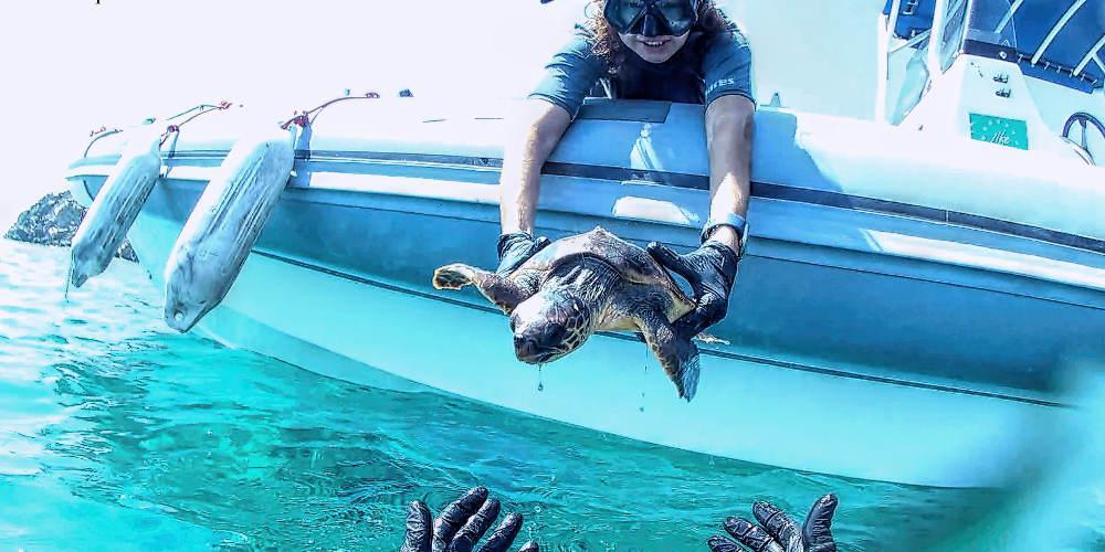 Διέσωσαν θαλάσσια χελώνα που είχε τραυματιστεί από αγκίστρι [εικόνες & βίντεο]