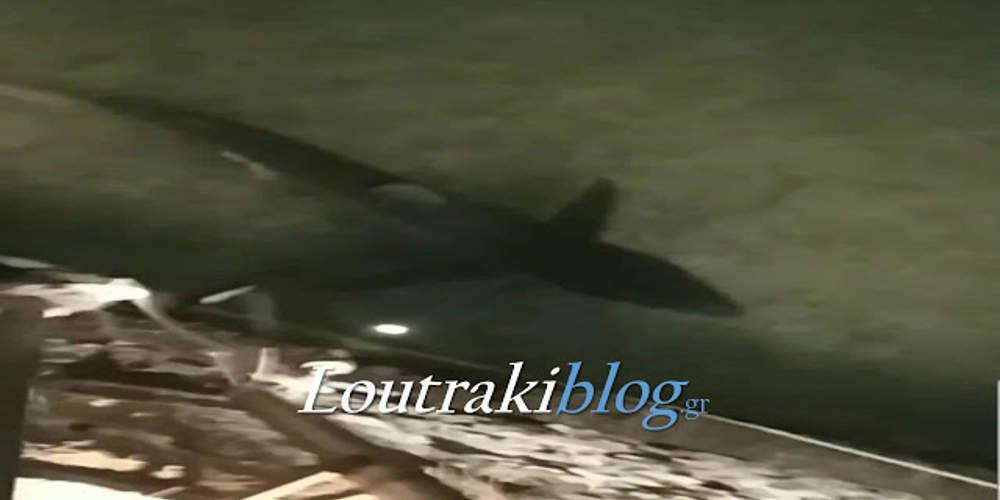 Καρχαρίας δύο μέτρων στο Λουτράκι [βίντεο]
