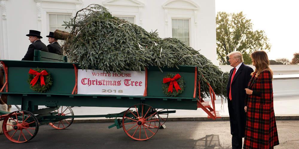 Με παραδοσιακή άμαξα έφτασε το χριστουγεννιάτικο δέντρο στον Λευκό Οίκο [βίντεο]