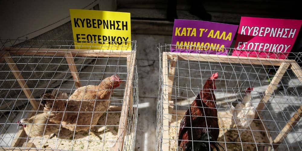 Με κότες και κόκορες διαμαρτυρήθηκαν έξω από το υπ. Υγείας οι εκπρόσωποι της ΠΟΕΔΗΝ [εικόνες & βίντεο]