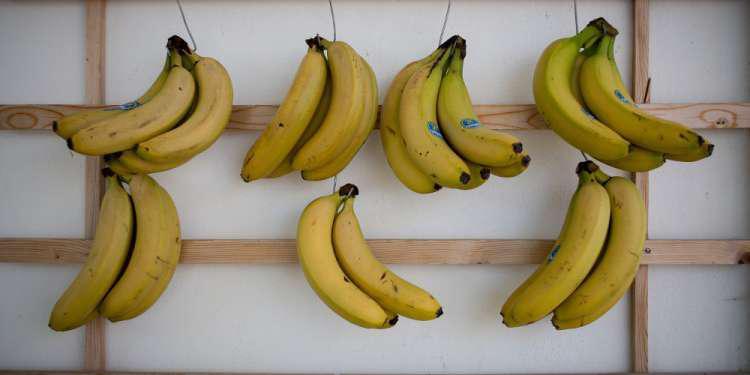 Δέσμευσαν μισό τόνο μπανάνες στον Πειραιά