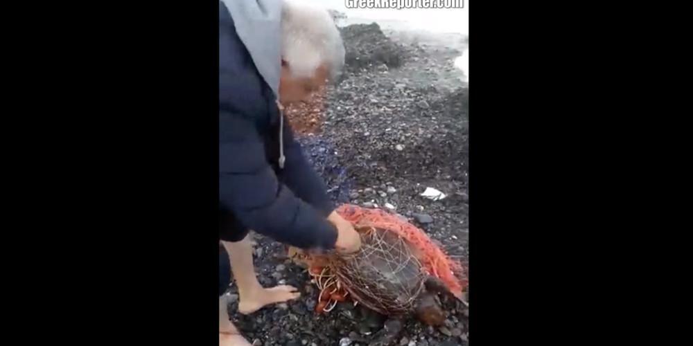 Συγκινητικό viral: Έλληνες σώζουν θαλάσσια χελώνα που παγιδεύτηκε σε δίχτυα [βίντεο]