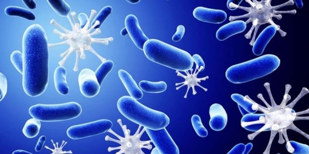 Απίστευτο: Ανακαλύφθηκαν στο ανθρώπινο έντερο σχεδόν 2.000 άγνωστα είδη βακτηρίων