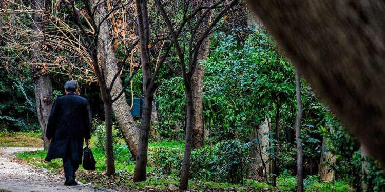 Θύμα ξυλοδαρμού με σκοπό τη ληστεία έπεσε ο διευθυντής του Μουσείου Μπενάκη στον Εθνικό Κήπο