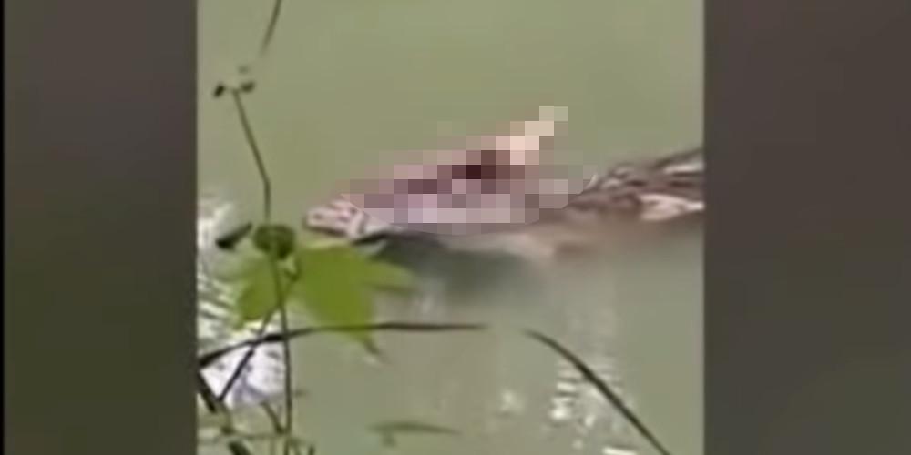 Βίντεο-φρίκη: Κροκόδειλος με ένα ανθρώπινο πόδι στα σαγόνια του αναδύεται από το νερό