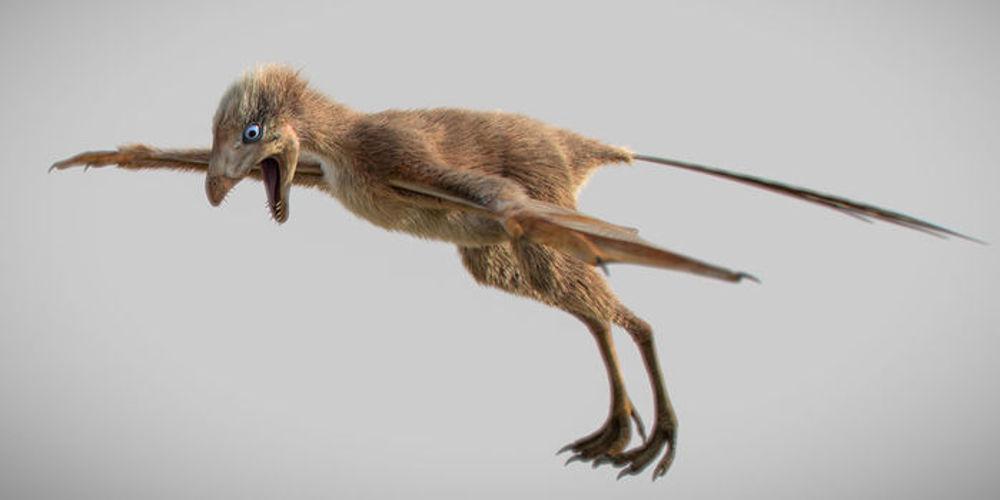 Ανακαλύφθηκε ασυνήθιστος μικροσκοπικός δεινόσαυρος με φτερά νυχτερίδας