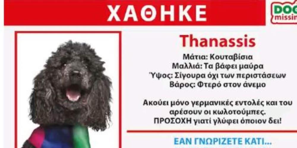 Ο Thanassis… χάθηκε: Το νέο σποτ των Ανεξάρτητων Ελλήνων [βίντεο]