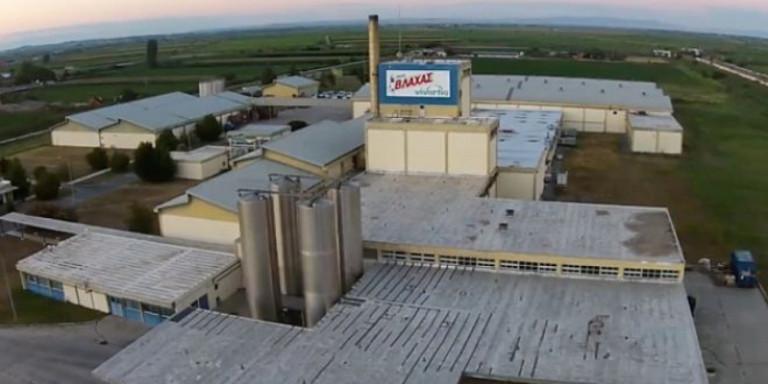«Κανόνι» από το Γάλα Βλάχας: Κλείνει το εργοστάσιο, στον αέρα 80 εργαζόμενοι