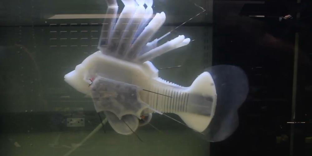 Αυτό είναι το πρώτο ρομποτικό ψάρι που κινείται με συνθετικό αίμα [βίντεο]