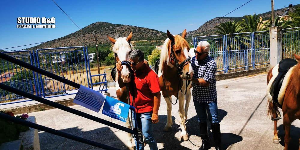 Απίστευτο: Πήγαν να ψηφίσουν με άλογα στο Ναύπλιο ! [εικόνες & βίντεο]