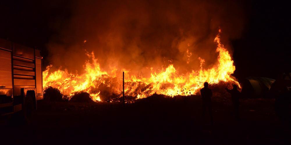 Καταστροφή! Οι πυρκαγιές στην Βολιβία σκότωσαν πάνω από 2 εκατ. άγρια ζώα