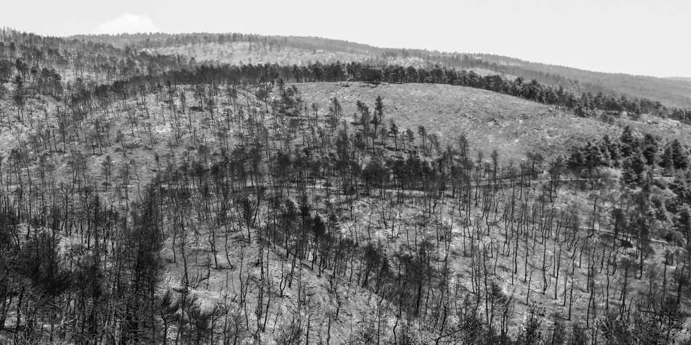 Τεράστια οικολογική καταστροφή στην Εύβοια: Όλες οι καμένες εκτάσεις από δορυφόρο