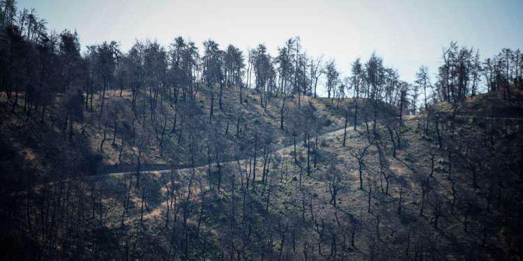 Πυρκαγιά στην Εύβοια: «Σπάει» το τηλεφωνικό απόρρητο για τους τρεις υπόπτους για εμπρησμό