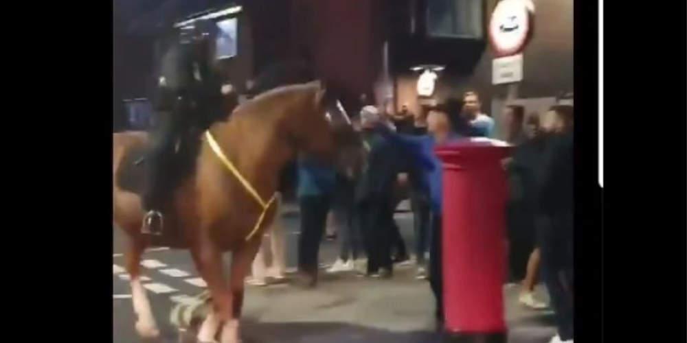 Απίστευτο: Οπαδός της Πόρτσμουθ συνελήφθη επειδή γρονθοκόπησε… άλογο [βίντεο]