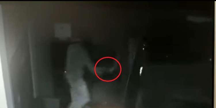 Βίντεο ντοκουμέντο από ληστεία ΟΠΑΠ: Δείτε τον έναν τρομοκράτη να τραυματίζει τον άλλο!
