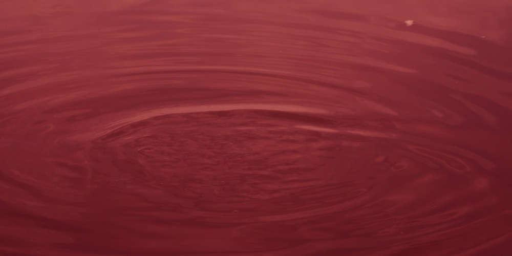 Σοκαριστικό: Ποταμός στη Ν. Κορέα βάφτηκε κόκκινος από το αίμα σφαγιασμένων χοίρων