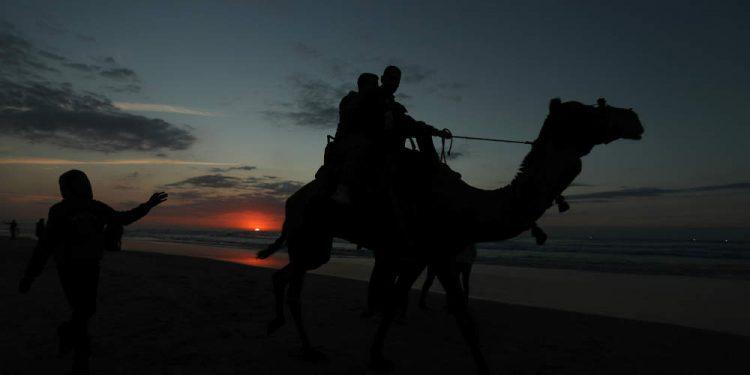Ανήκουστο: Αμερικανίδα τουρίστρια έκανε μήνυση στην TripAdvisor επειδή έπεσε από καμήλα