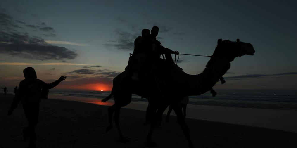 Ανήκουστο: Αμερικανίδα τουρίστρια έκανε μήνυση στην TripAdvisor επειδή έπεσε από καμήλα