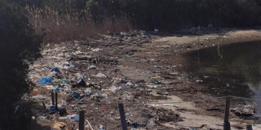Εικόνες από... Ινδία στη Χαλκιδική: Παραλία μετατράπηκε σε σκουπιδότοπο