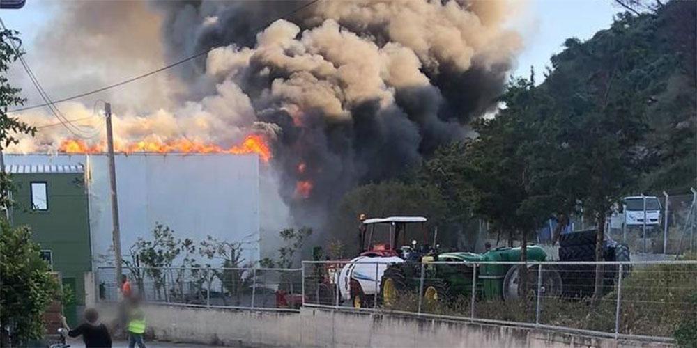 Ηράκλειο: Σε εξέλιξη μεγάλη φωτιά σε εργοστάσιο τυποποίησης ελαιολάδου