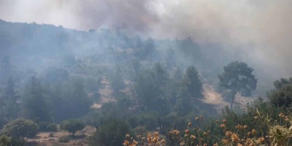 Σε εξέλιξη μεγάλη φωτιά στην Κύπρο - Σε μήκος 20 χλμ. εκτείνεται το πύρινο μέτωπο